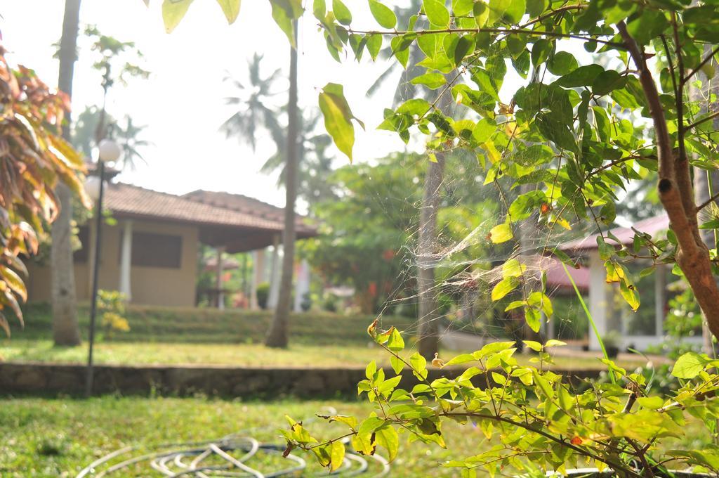 Soba Lanka Holiday Resort Melsiripura Esterno foto