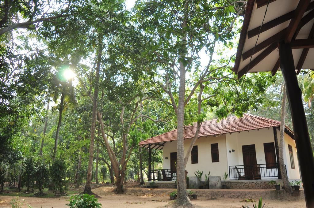 Soba Lanka Holiday Resort Melsiripura Esterno foto