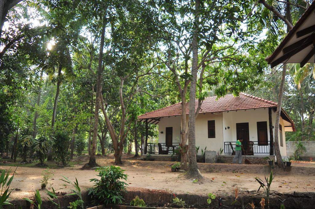 Soba Lanka Holiday Resort Melsiripura Esterno foto