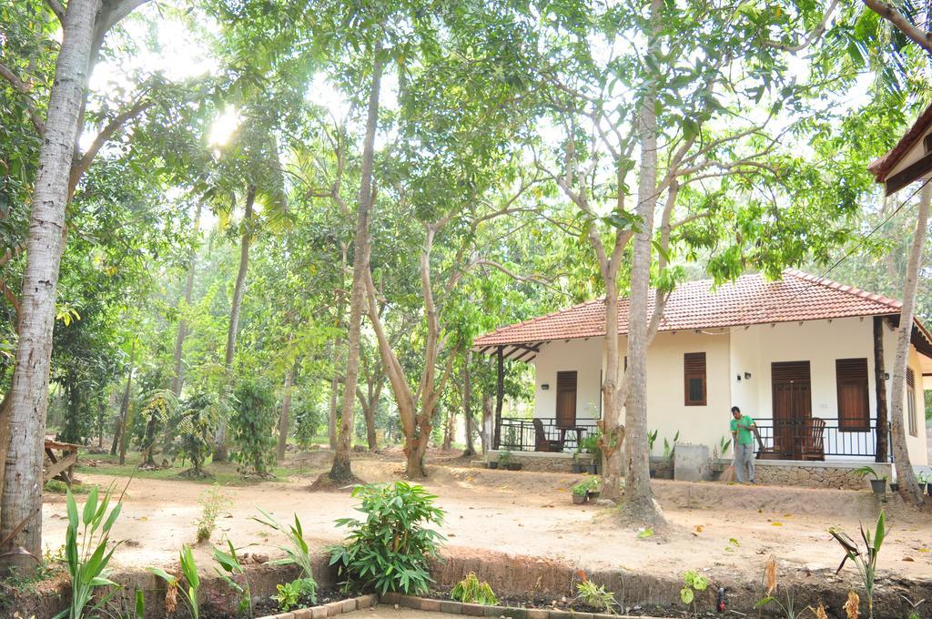 Soba Lanka Holiday Resort Melsiripura Esterno foto