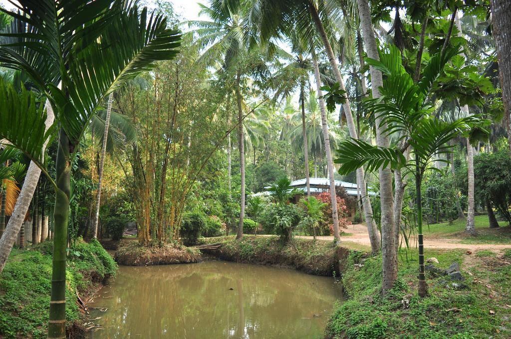 Soba Lanka Holiday Resort Melsiripura Esterno foto
