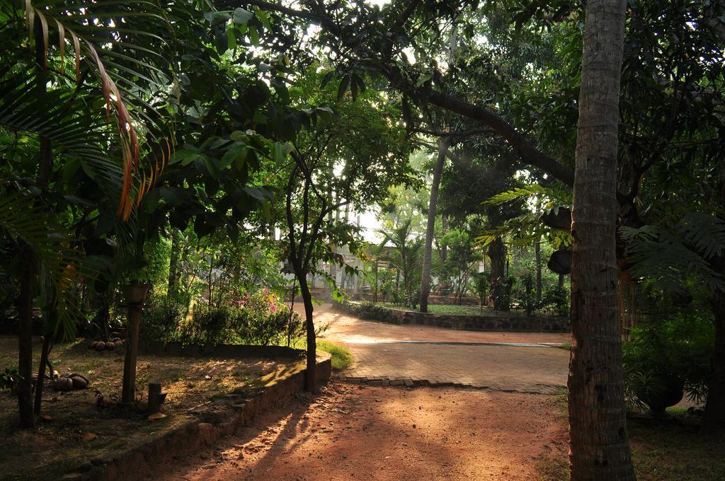 Soba Lanka Holiday Resort Melsiripura Esterno foto