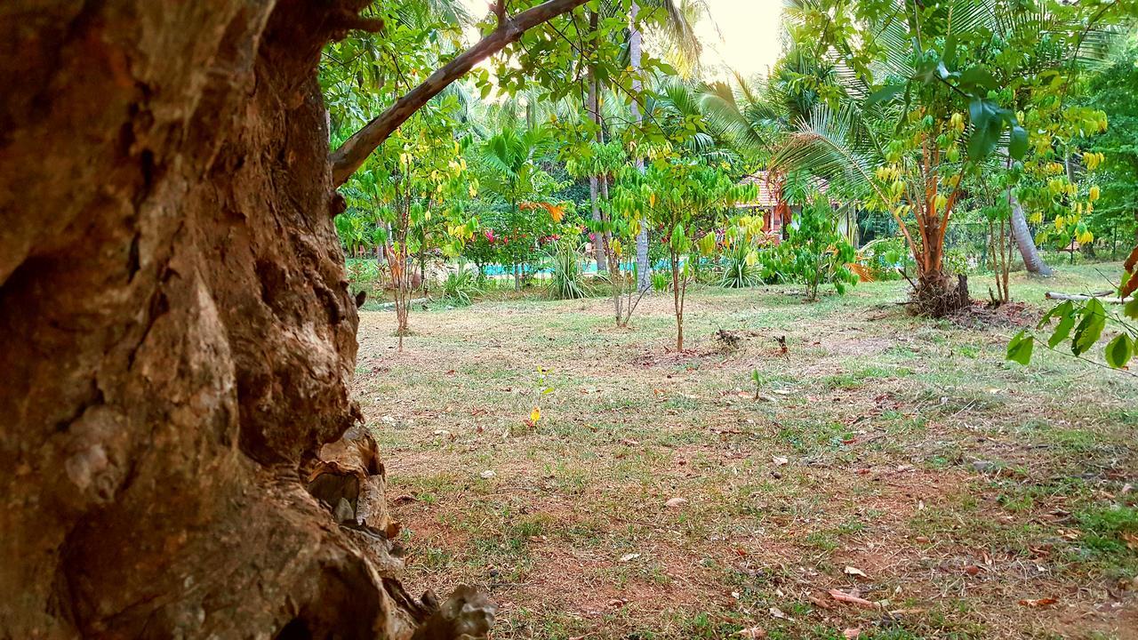 Soba Lanka Holiday Resort Melsiripura Esterno foto