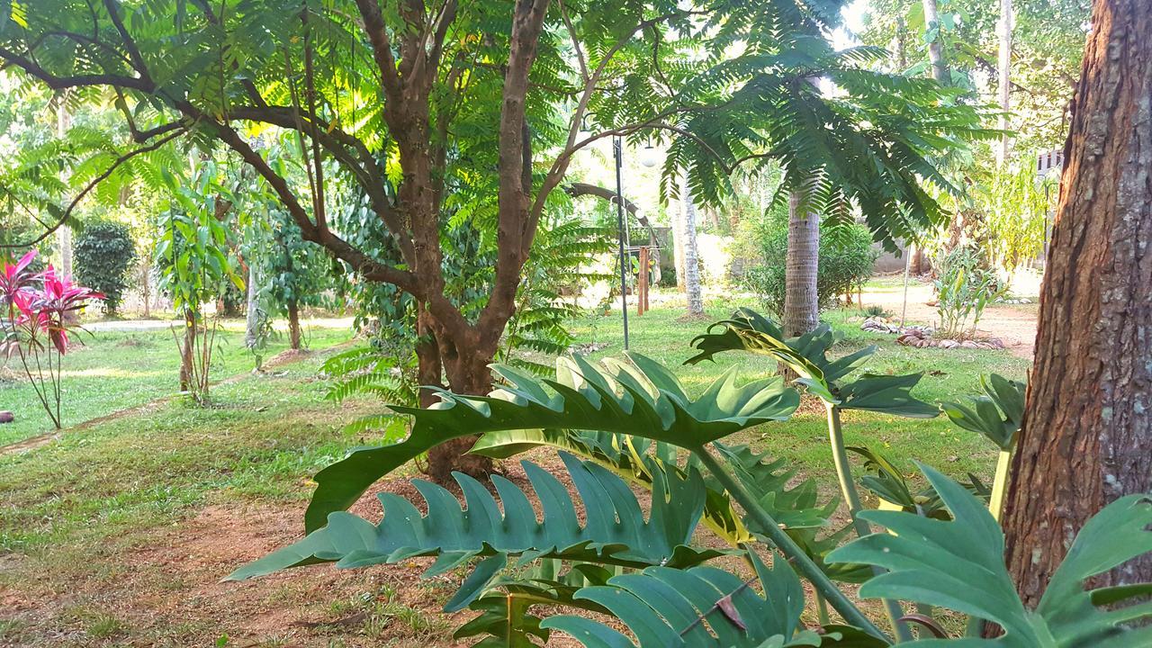 Soba Lanka Holiday Resort Melsiripura Esterno foto