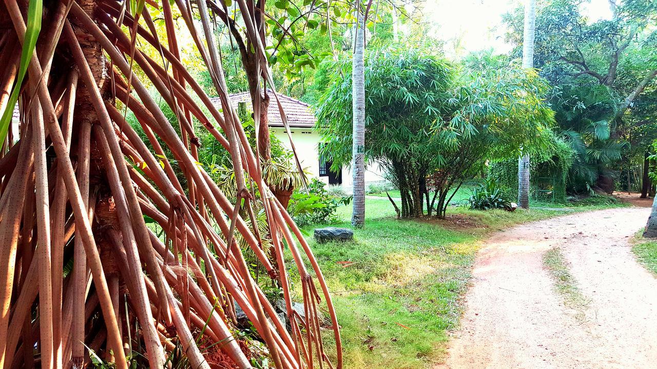 Soba Lanka Holiday Resort Melsiripura Esterno foto