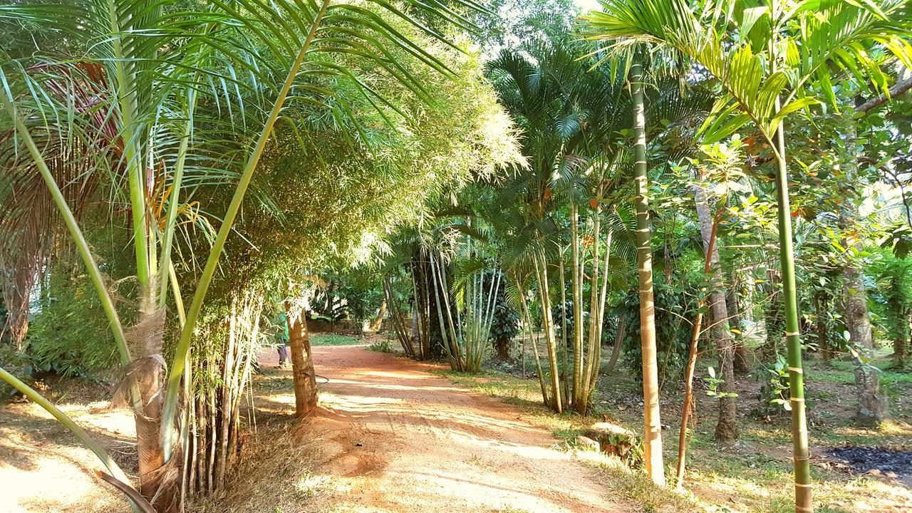 Soba Lanka Holiday Resort Melsiripura Esterno foto