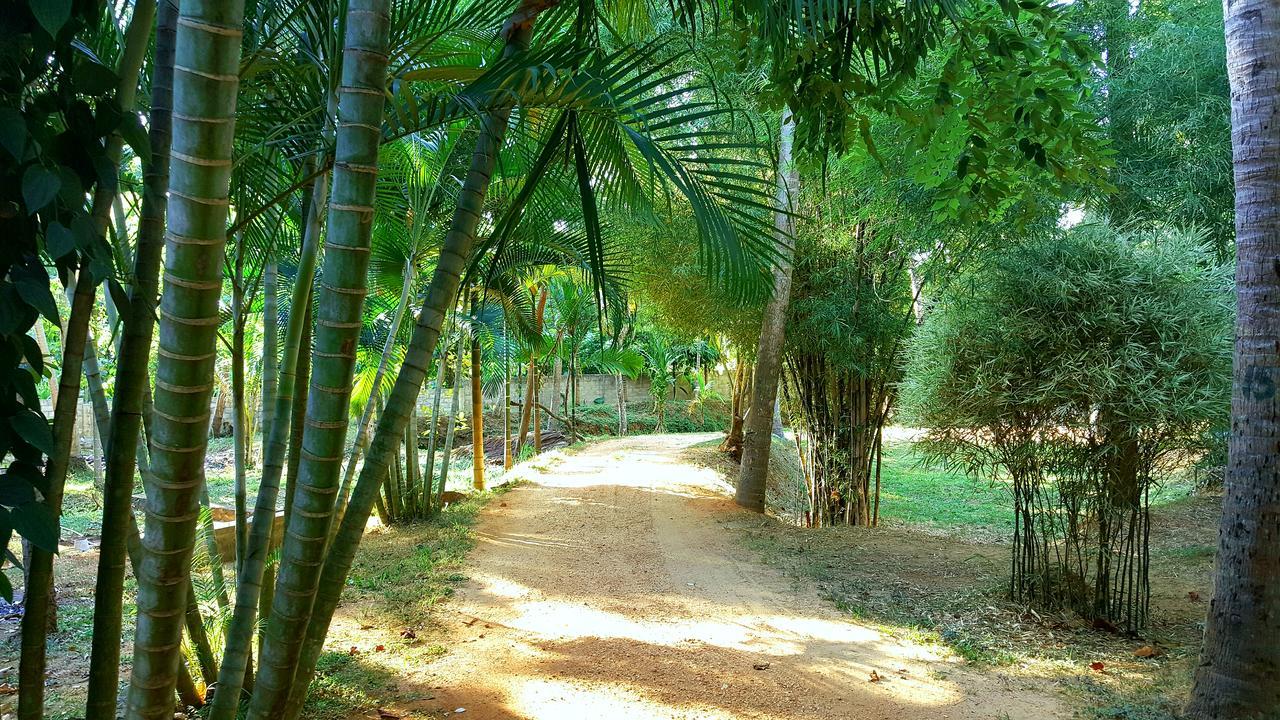 Soba Lanka Holiday Resort Melsiripura Esterno foto
