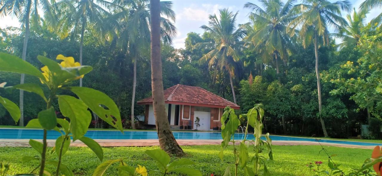 Soba Lanka Holiday Resort Melsiripura Esterno foto